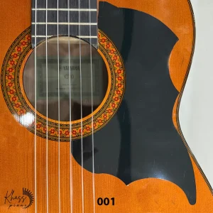 گلپیدور گیتار
